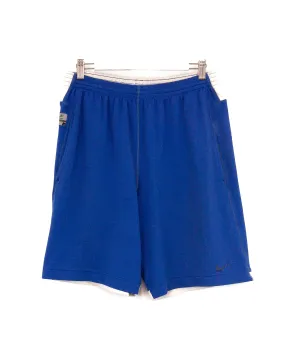 Vintage Nike Shorts (28-30)
